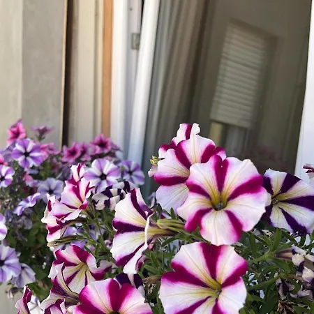 Oda ve Kahvaltı Dai Toscans Cividale del Friuli